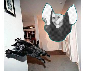 fotomontaje un gato saltando explosion tratase