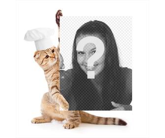 fotomontaje gato vestido cocinero aguantando fotografia