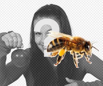 sticker abeja puedes poner fotos forma facil