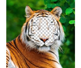 fotomontaje un tigre subir foto cara