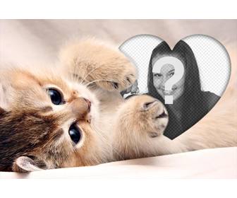 tierno fotomontaje un gatito abrazando un corazon anadir foto
