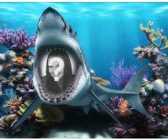 foto boca un tiburon mar fotomontaje divertido