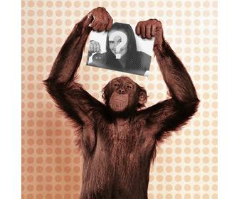 Fotomontaje de mono con tu foto