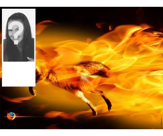 inserta fotografia marco un zorro rodeado llamas colores naranja fuego negro