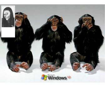 monos haciendo signos escuchar ver  oir poner fondo twitter foto