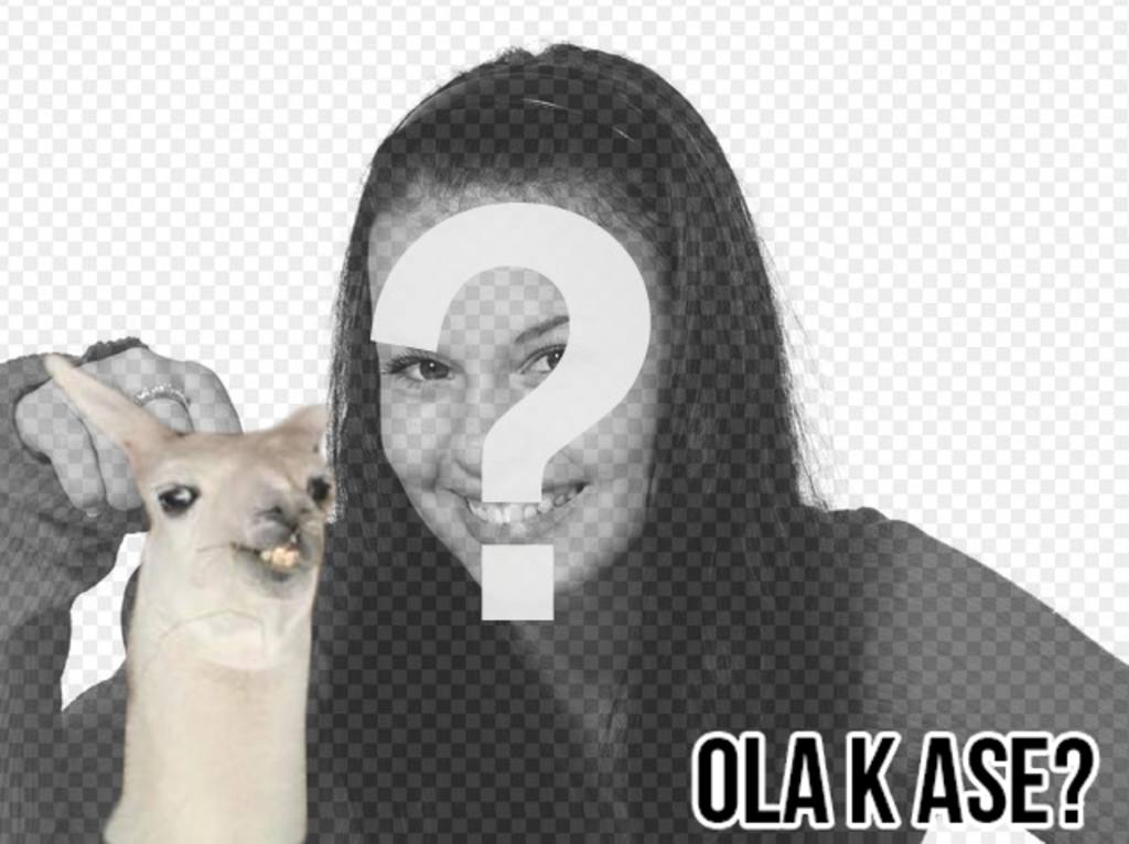 Crea un fotomontaje fácil con la llama del meme *Ola k ase? y añade texto online..