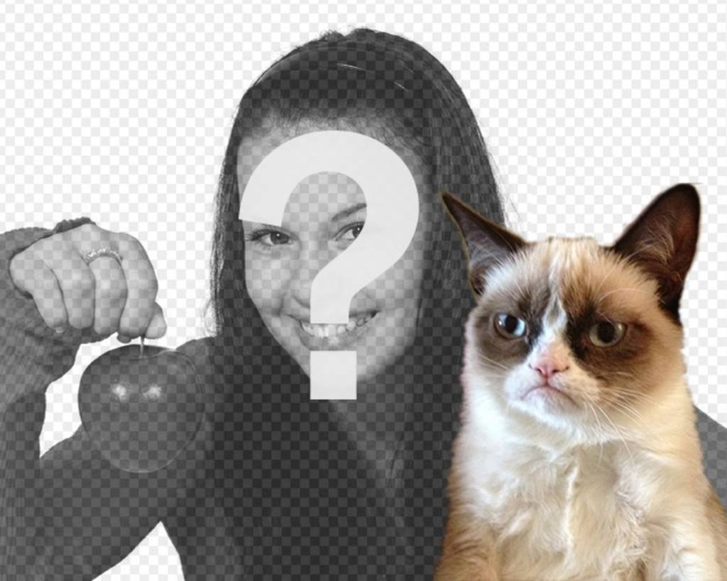 Fotomontaje con el gato Grumpy cat ..