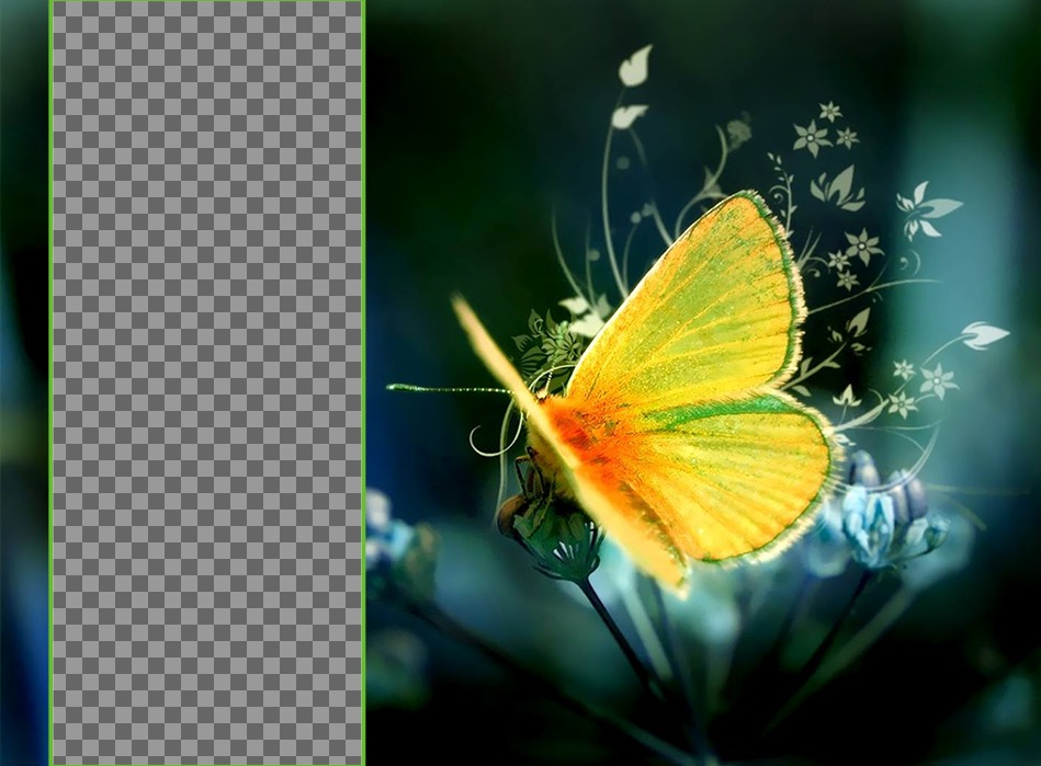 Fondo de pantalla para dos fotos con una mariposa amarilla posada en una flor. ..