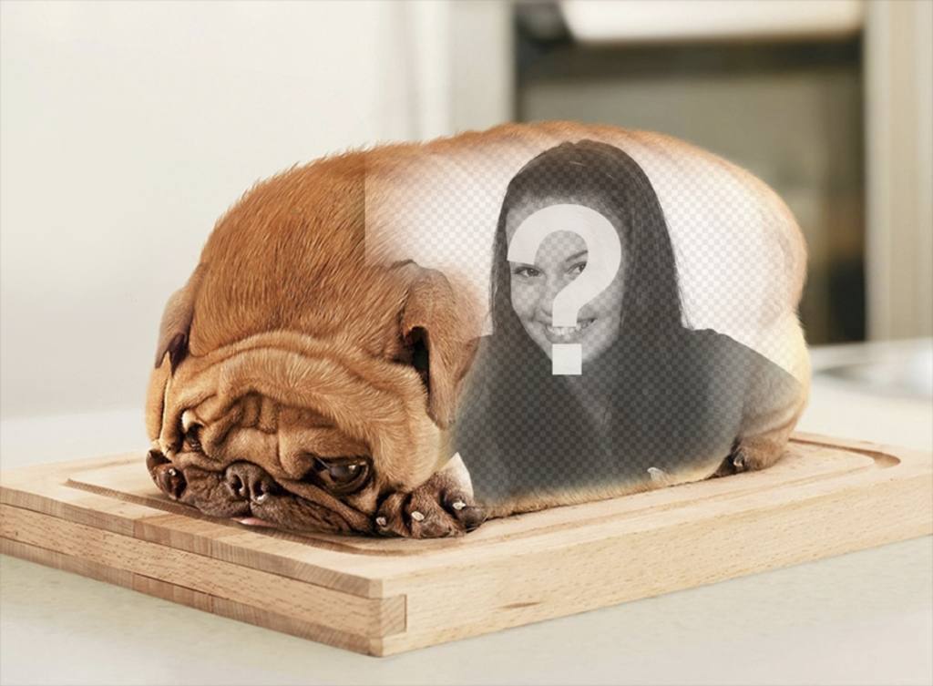 Perro en forma de pan de molde con el lomo para poner tus fotografías. ..