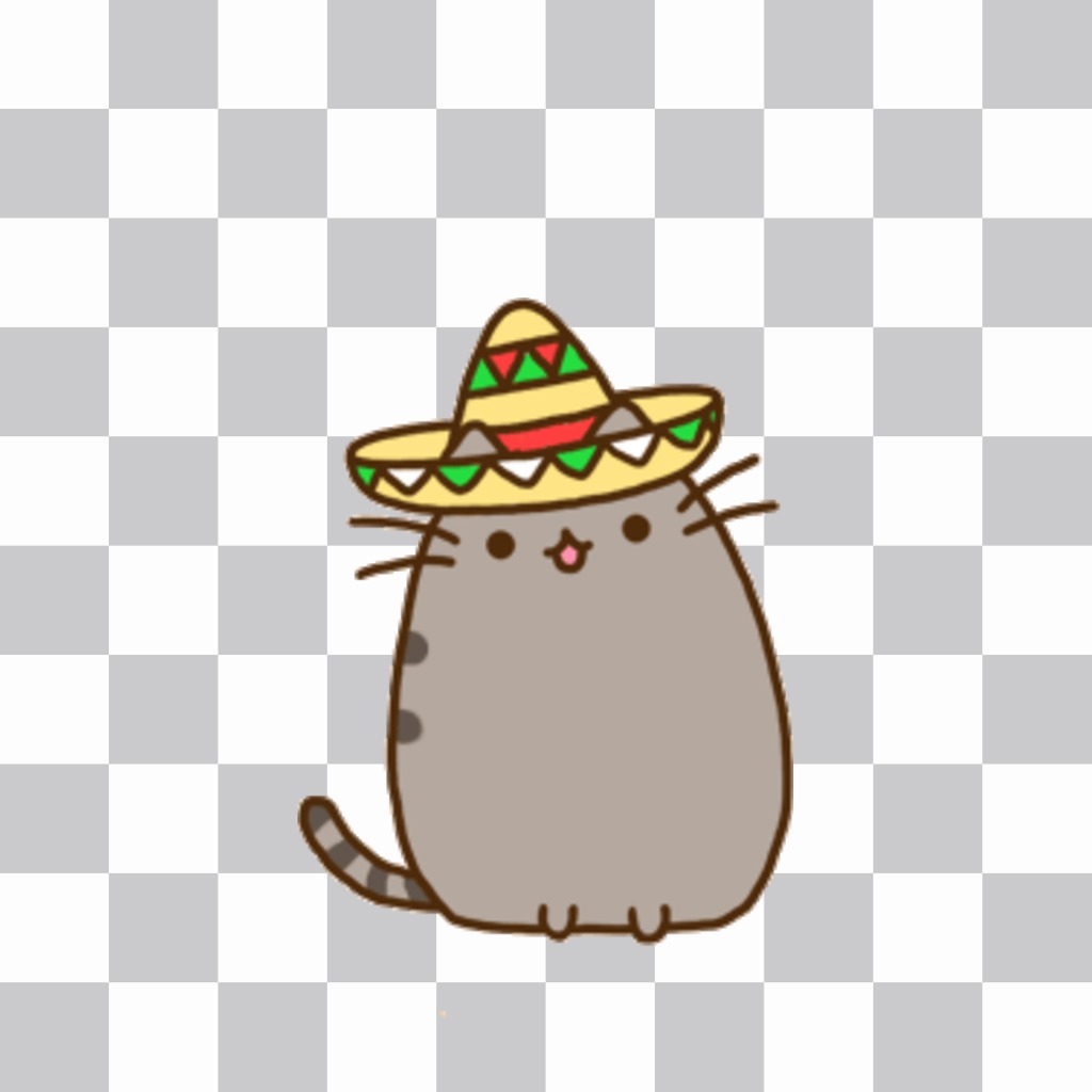 Decoración para tus fotos con un gatito gordo con sombrero mariachi. ..