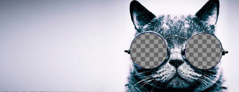 Portada para Facebook personalizable con un gato con gafas ..