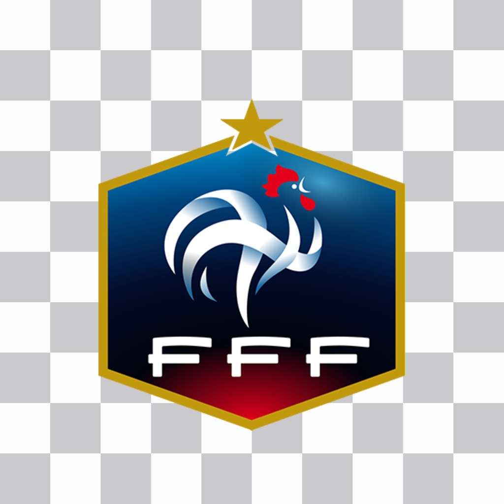 Foto efecto del escudo de la Federación Francesa de Fútbol ..